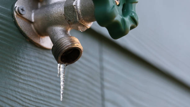 Best Local Plumber Services  in Hollins, VA